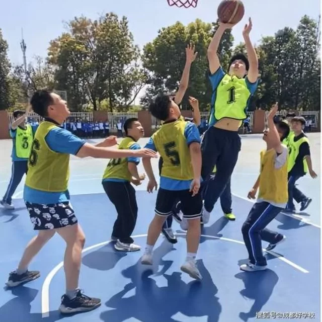 数据视角解析第109组体育新闻热点追踪
